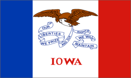 Image:Iowa state flag.png